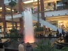 img_7383 img_7383