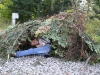 dsc_0176 dsc_0176