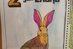 obraz14