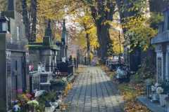 IMG-20261027-WA00001