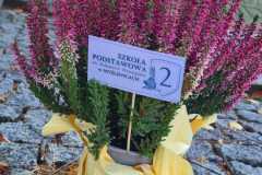 IMG-20261027-WA0001