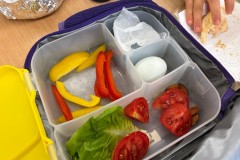 Obraz20
