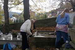 na-stone_00008 na-stone_00008