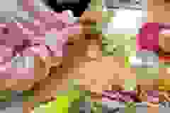 51fe3fa4-1e7b-4e24-8e25-0b18c9c7019d