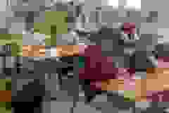 670535112_963432516172458_6589074449147395340_n