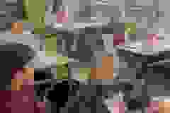 671534750_995294376164978_3850860651442993799_n