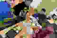 d0ae8230-056c-487e-a8be-cf2bf2d49487