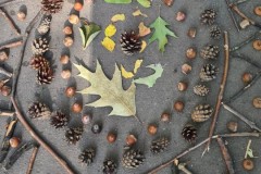 IMG-20261011-WA0001