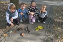 IMG_20261007_095906921