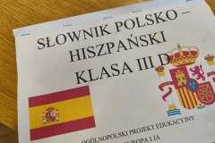 Obraz16