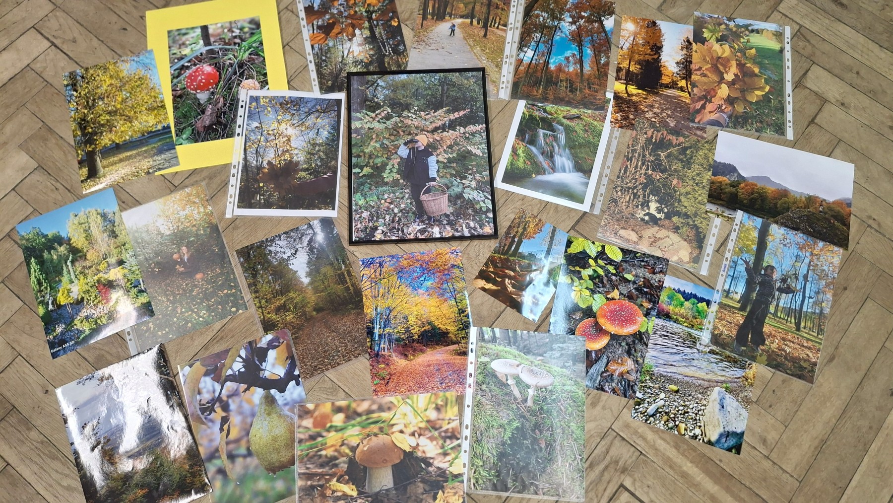 SZKOLNY KONKURS FOTOGRAFICZNY PT. „Z JESIENIĄ MI DO TWARZY”