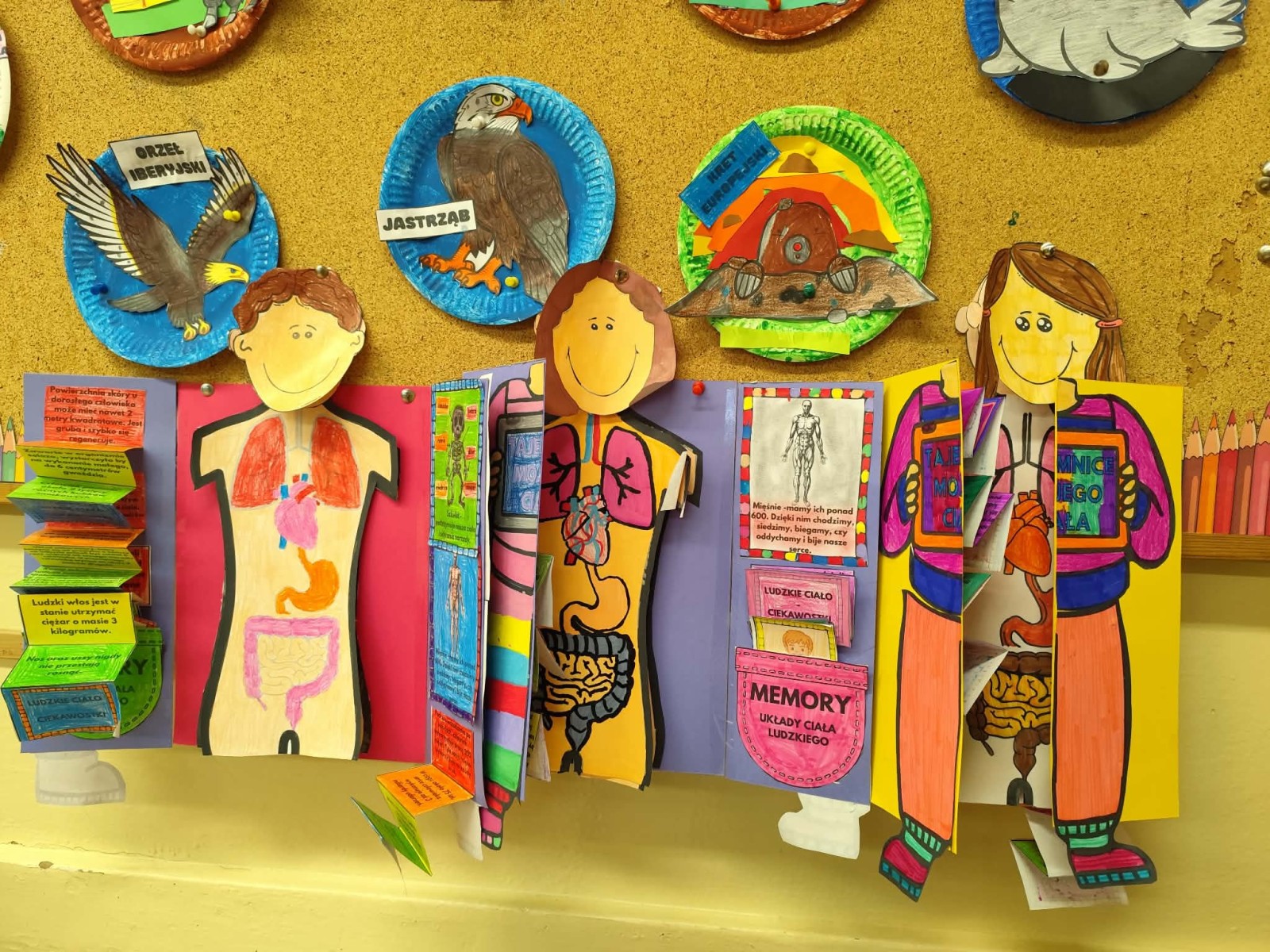 POZNAJEMY LUDZKIE CIAŁO - NAUKA PRZEZ DZIAŁANIE W KLASIE III D